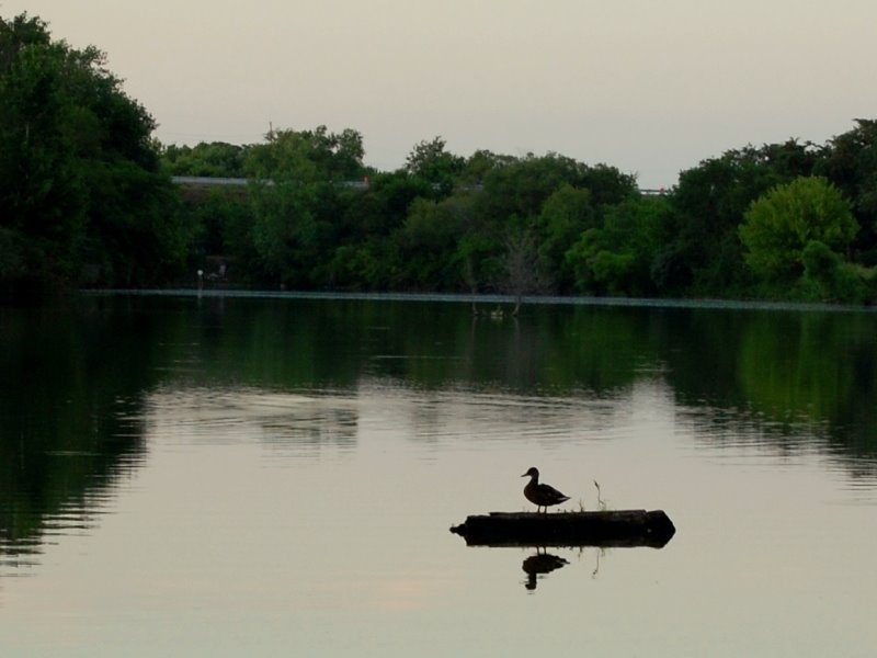 Kauffman Lake - Champaign, Illinois