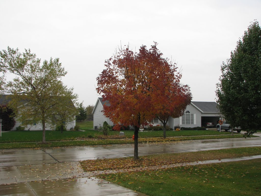 October-21-2009