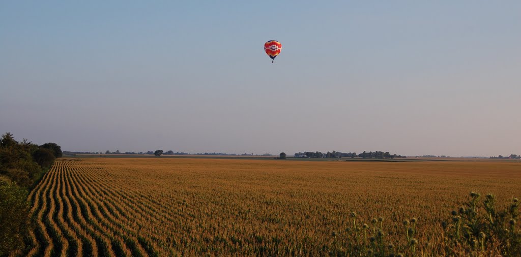 Balloon Over Field