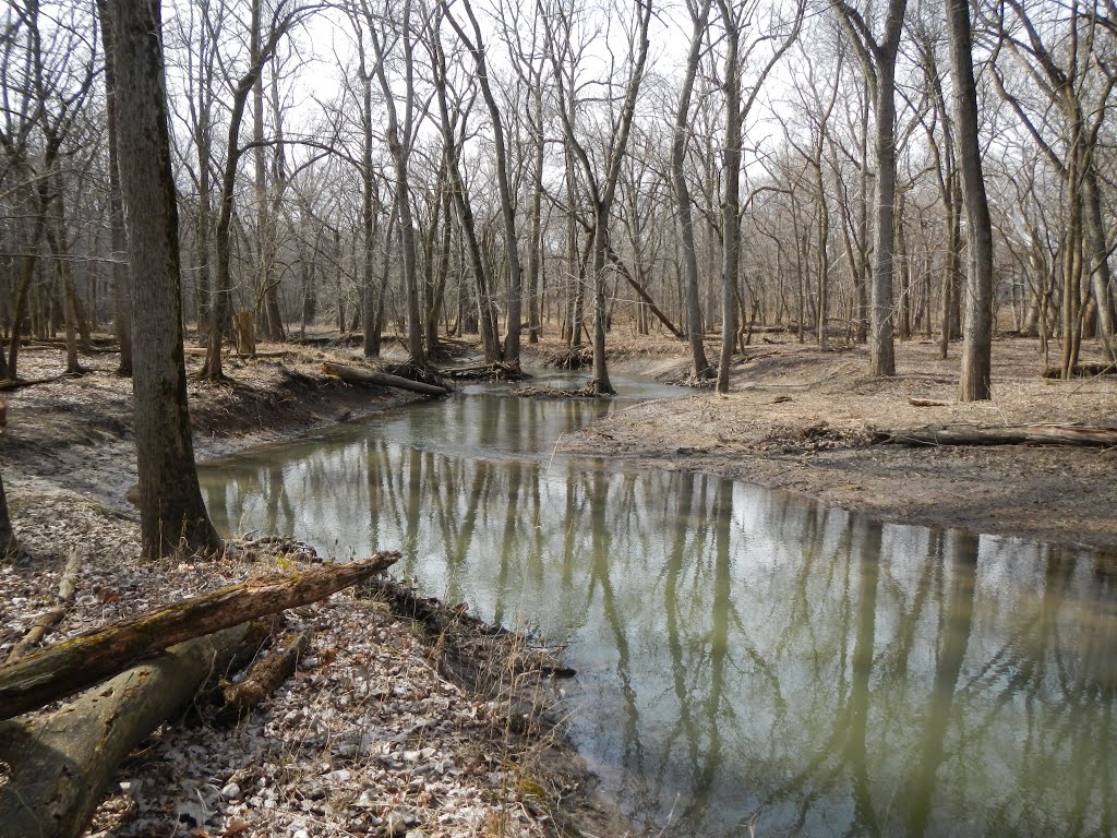 Sangamon River Side Channel