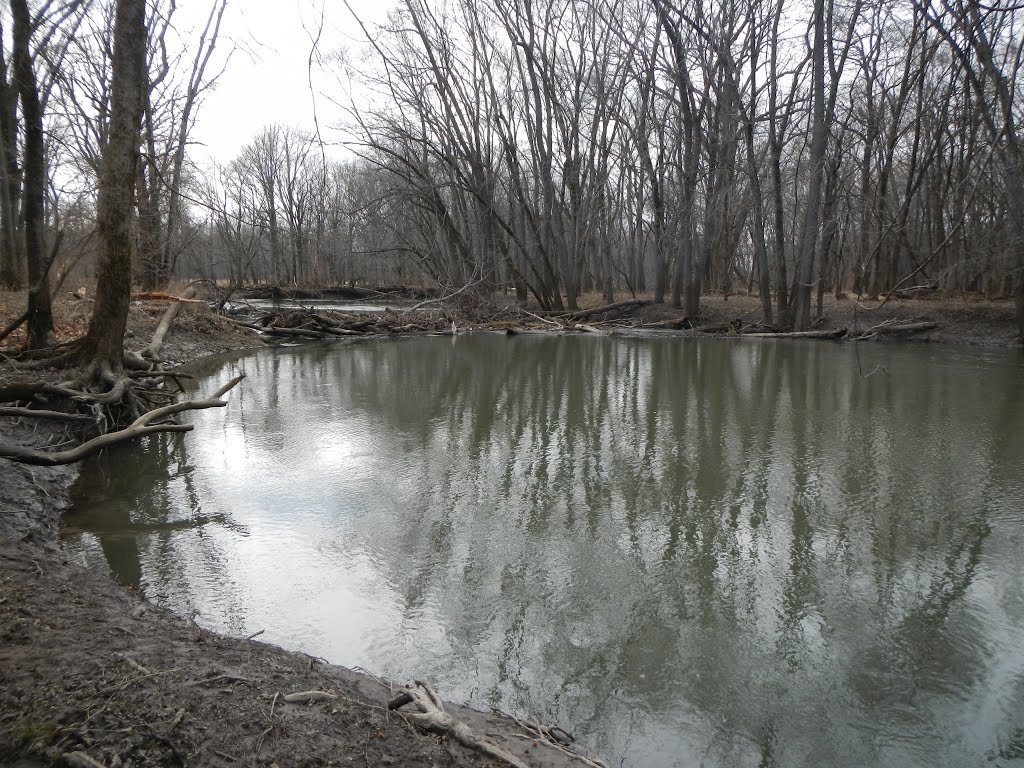Sangamon River Log Jam