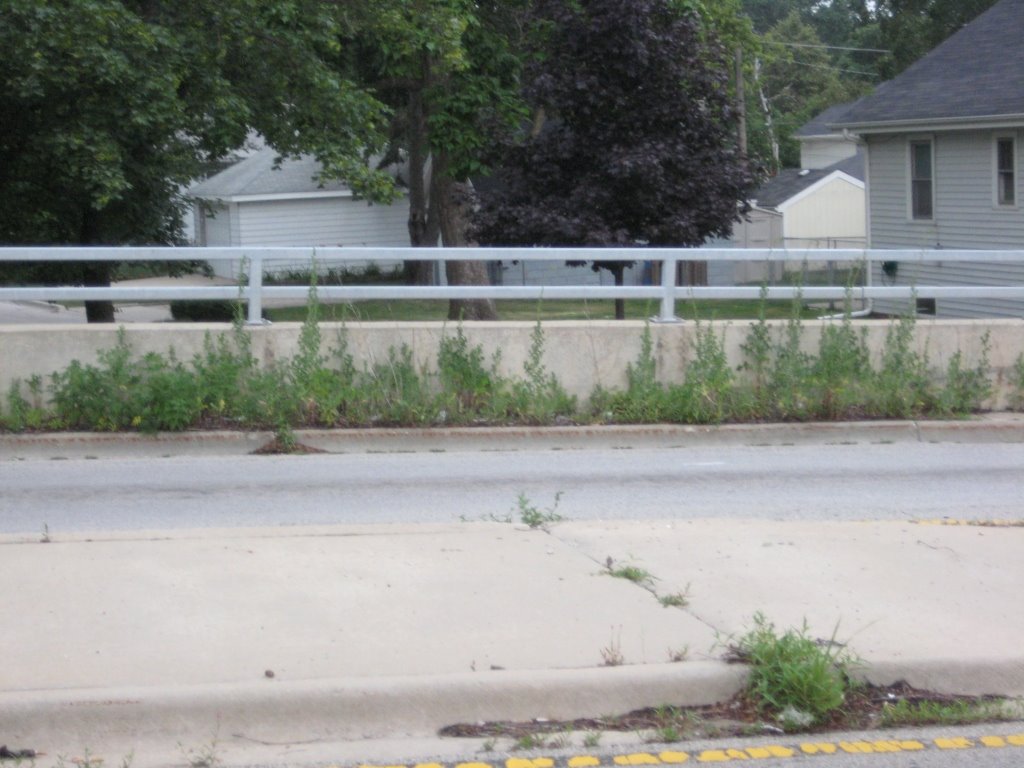Overgrown sidewalk