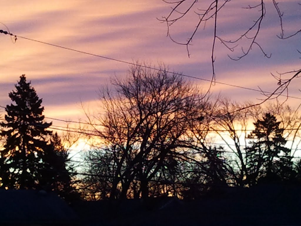 A Painters Sky