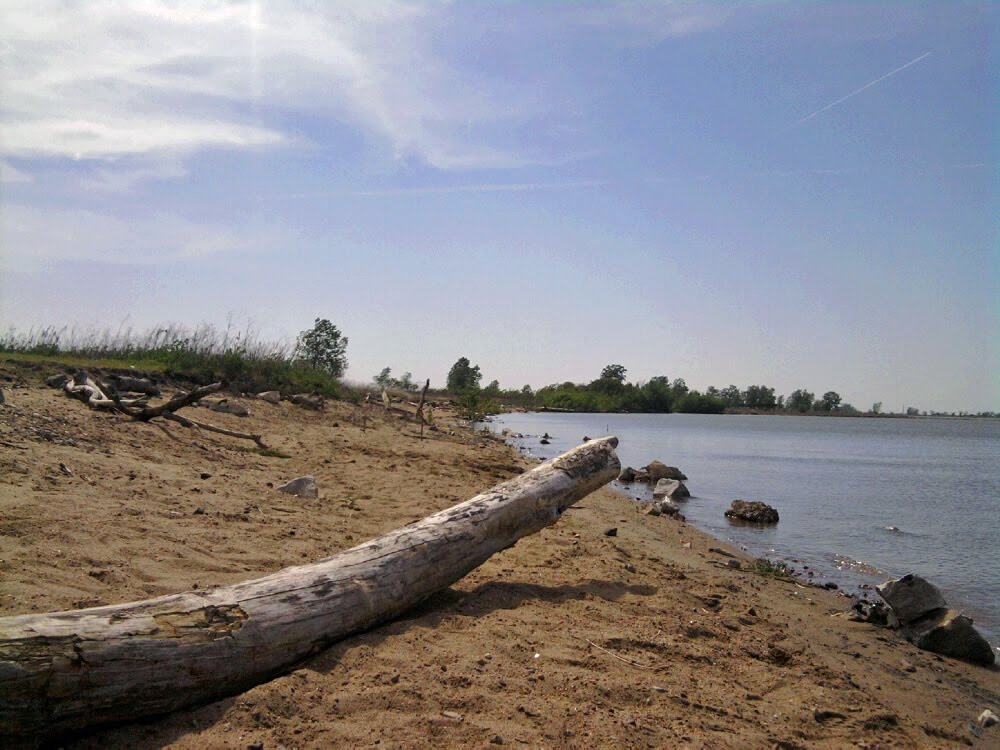 On the shore of the mighty Mississippi