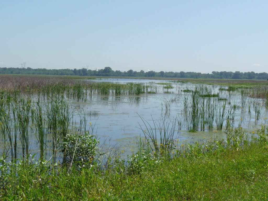 Columbia Bottoms Conservation at the Confluence