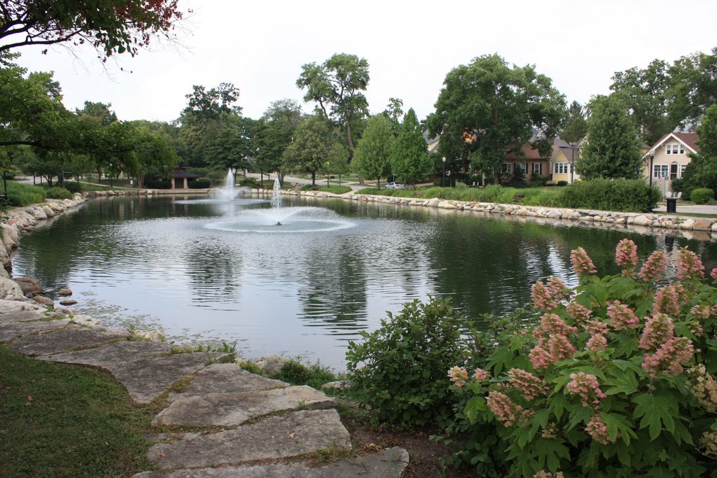 Prince Lake, Downers Grove, Illinois