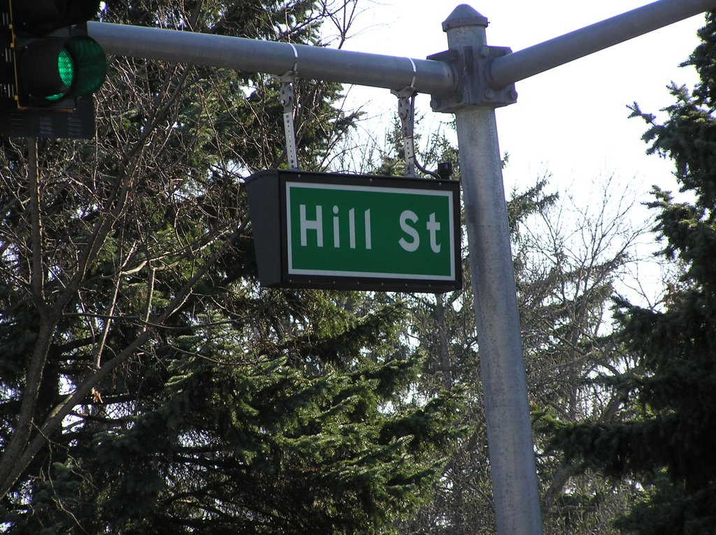My Neighborhhod 13