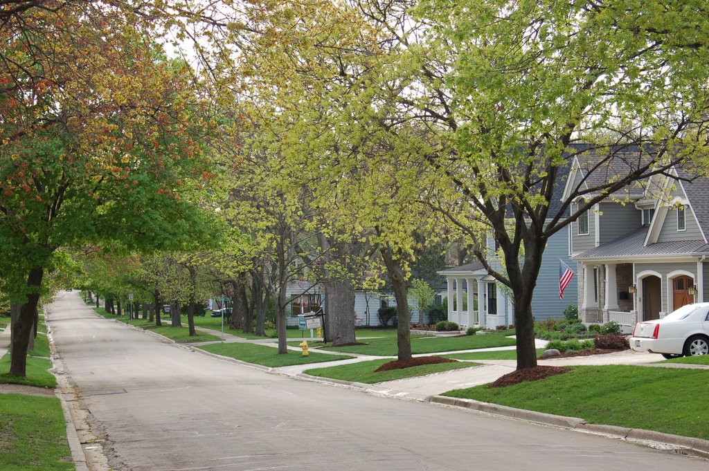 Chicago Avenue