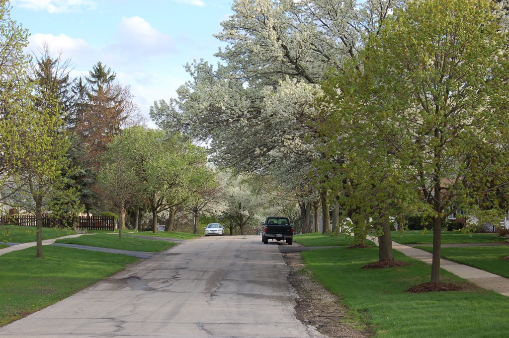 Sherwood Avenue