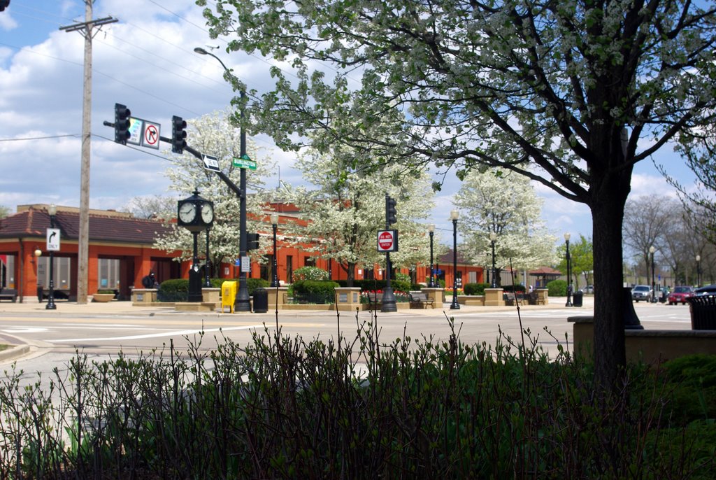 Downers Grove Metra Station