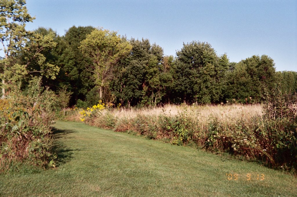 Patriots Park