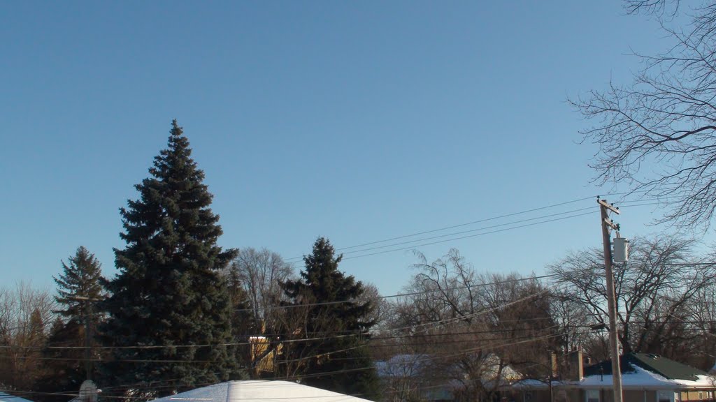 Blue Sky