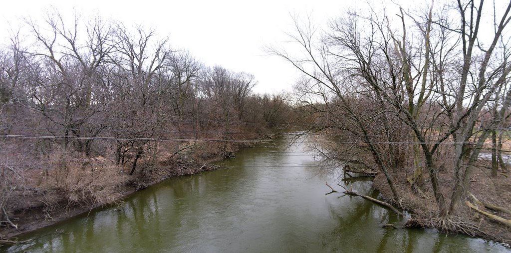 Des Plaines River near Big Bend Lake
