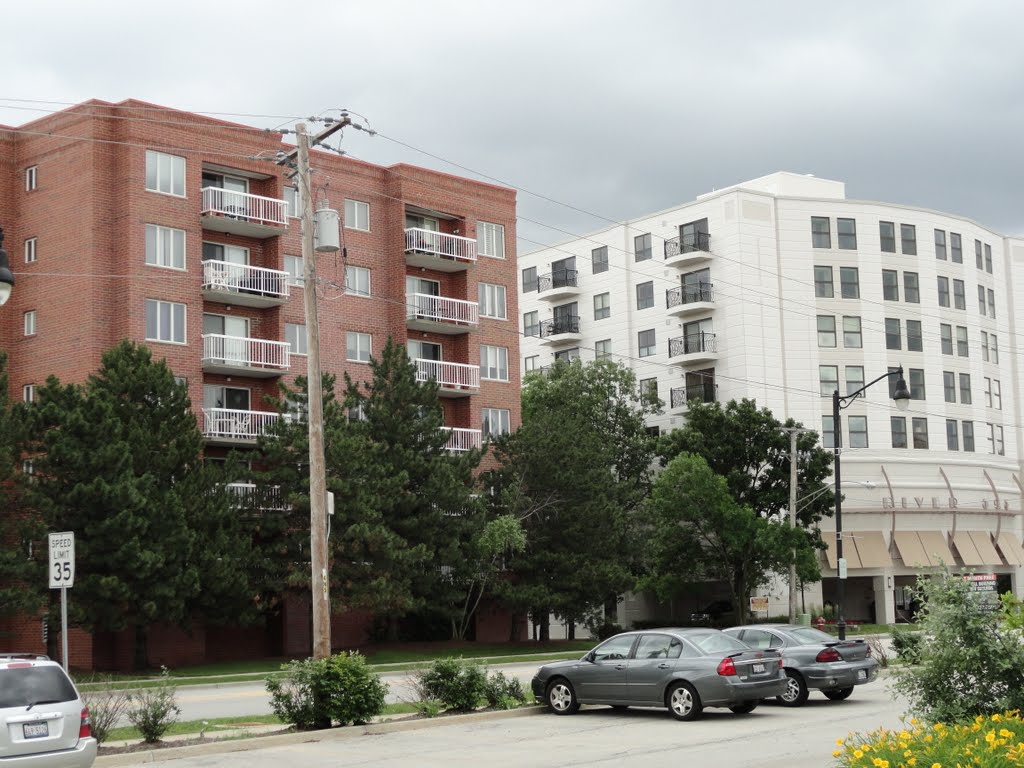 Downtown Des Plaines Condos #1