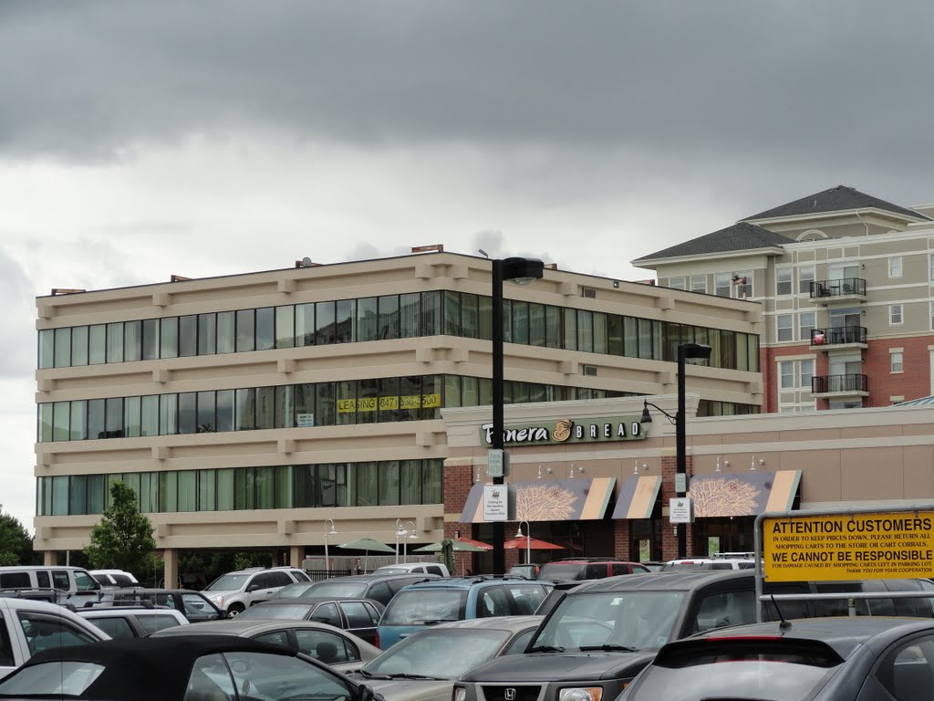 Downtown Des Plaines Panera Bread