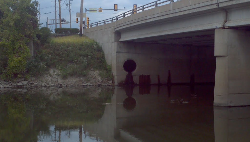 Dempster St. River Dam