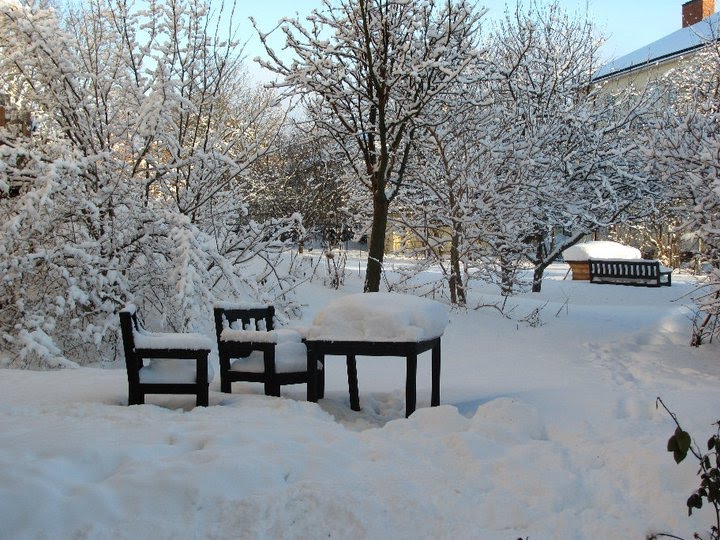 La nieve en Des Plaines.