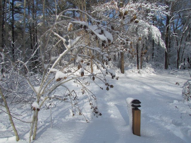 The snowy road.