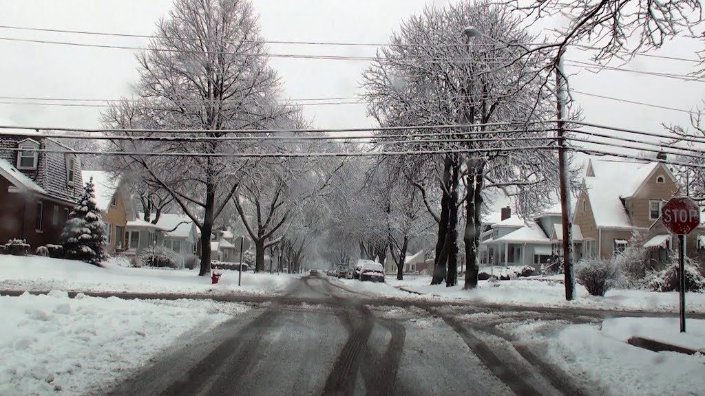 Frosty day and street