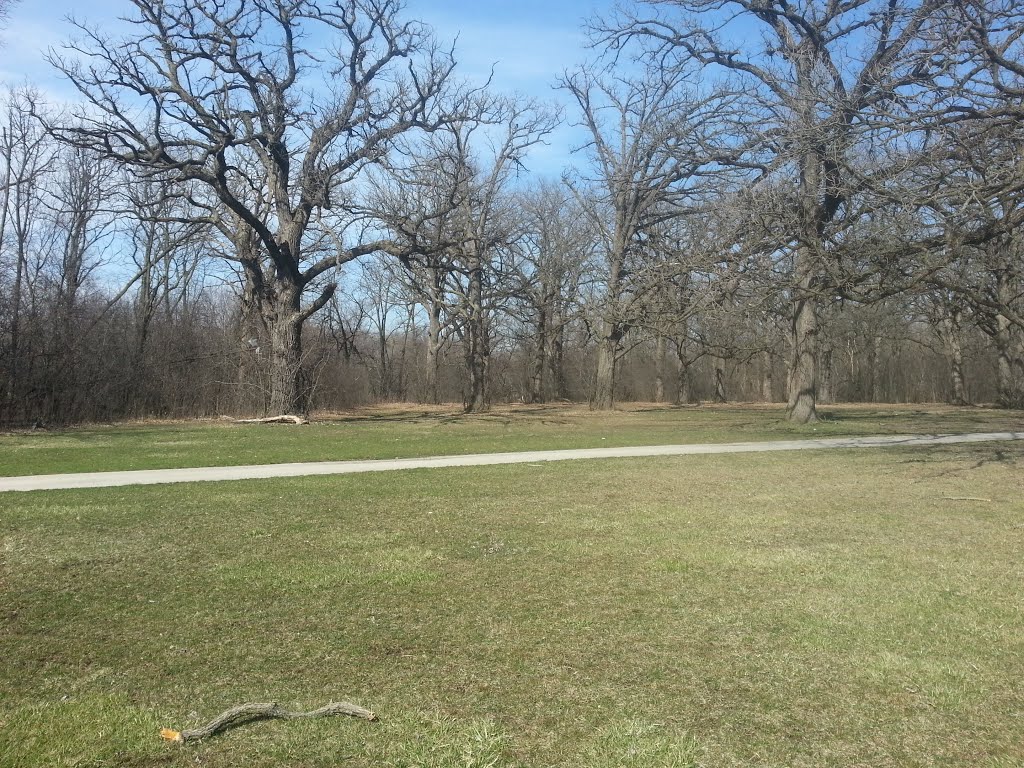 View of Trees