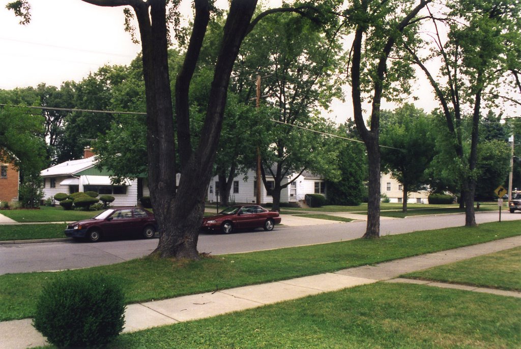 Greenview Ave.