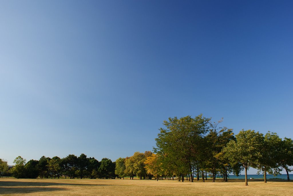 Northwestern University Campus