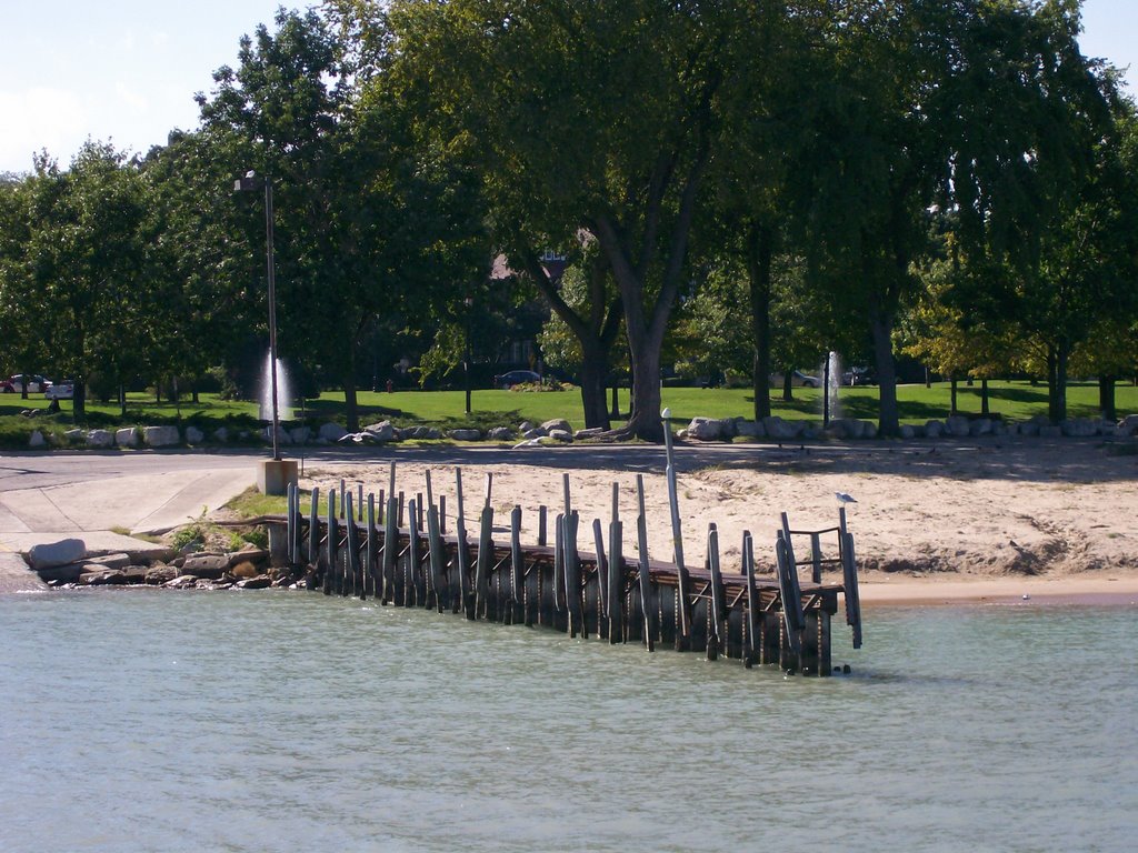 Dogs beach in Evanston IL.