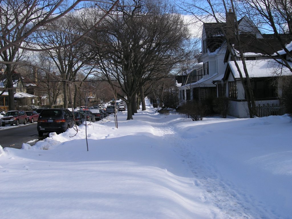 Evanston in winter