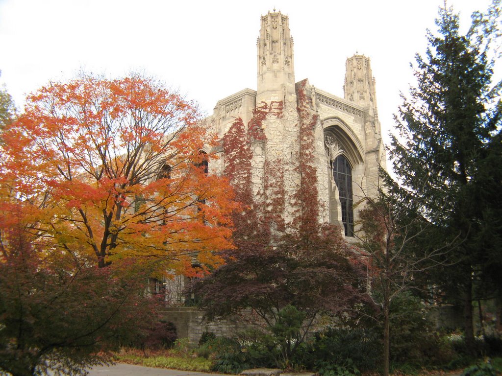 Deering Meadow - Nortwestern University