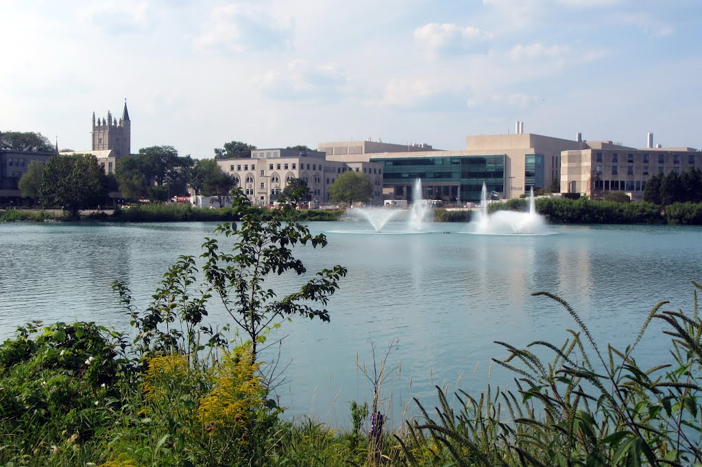 Fountain in Northwestern University