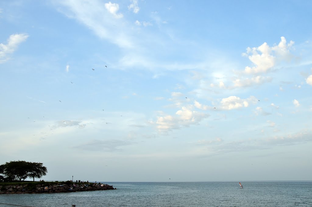 Waiting for super moon - Lake Michigan - Northwestern University (the birds in the sky are also waiting!!!!)