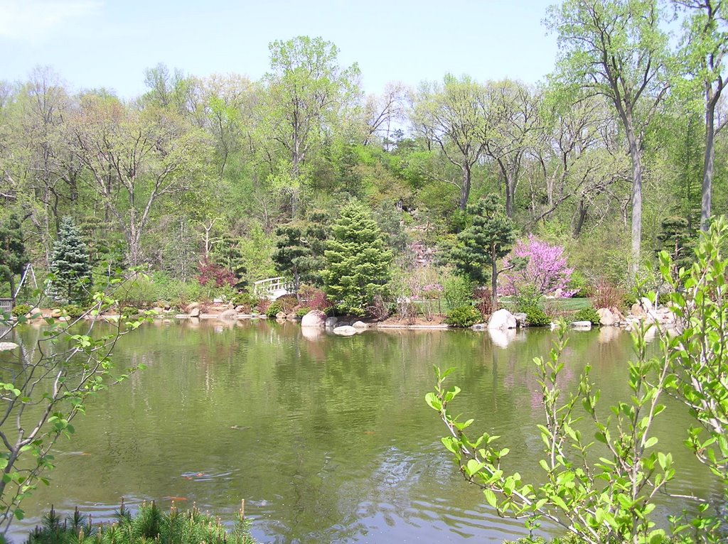 Anderson Japanese Gardens
