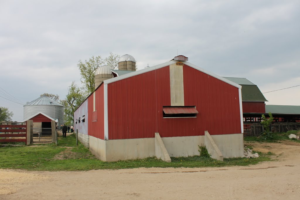 Barn in Rockford