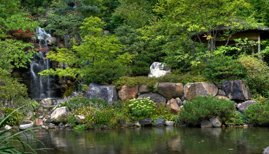 Anderson Japanese Gardens waterfall