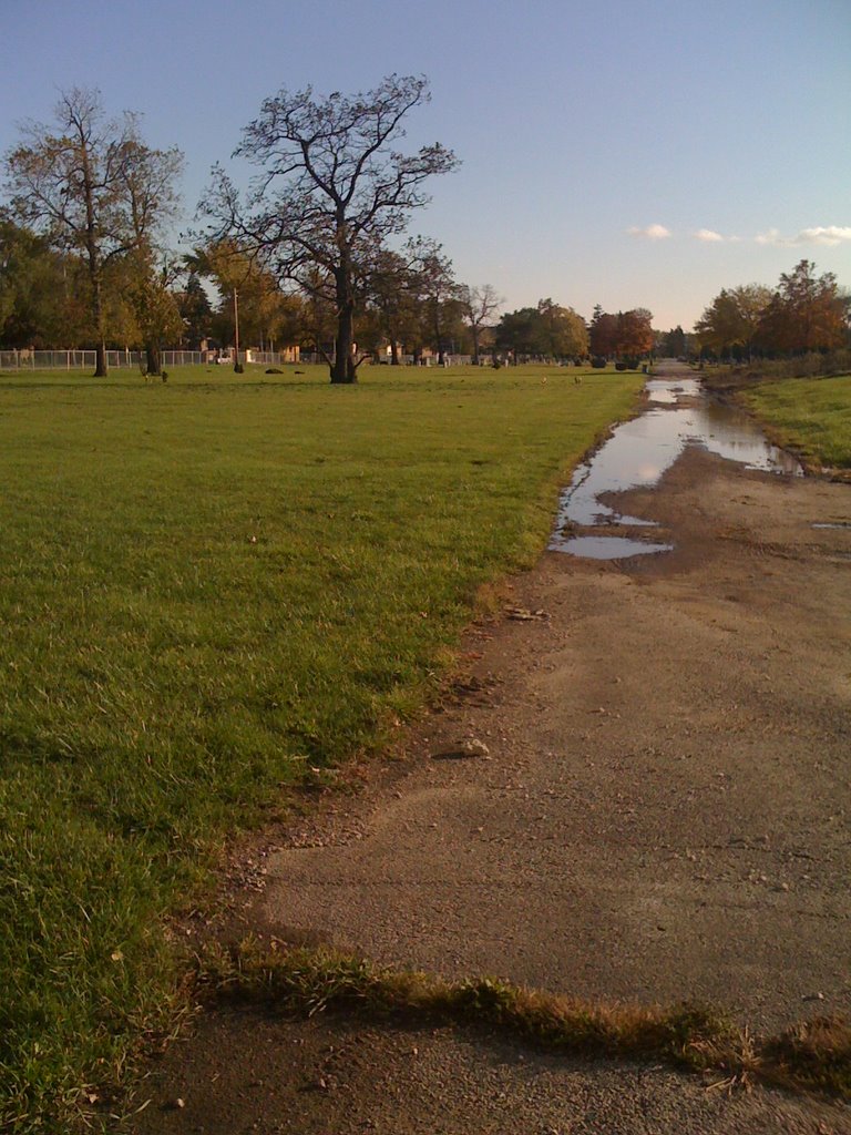 8015 OConnor Drive (behind apartment building)