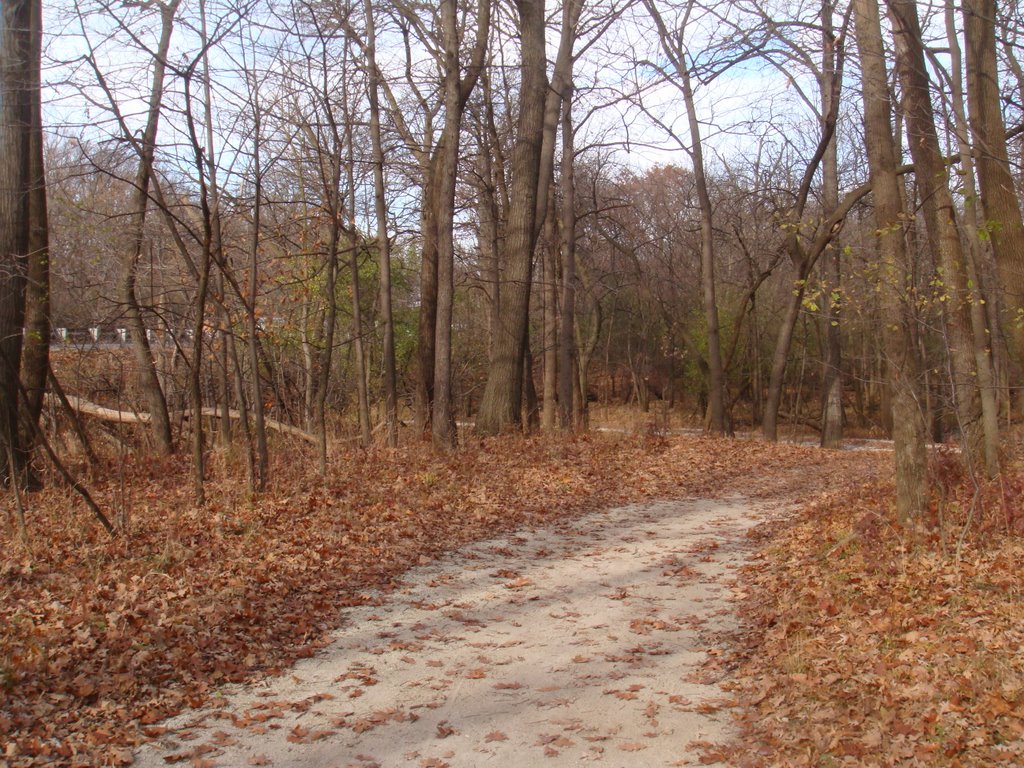 Trail towards river