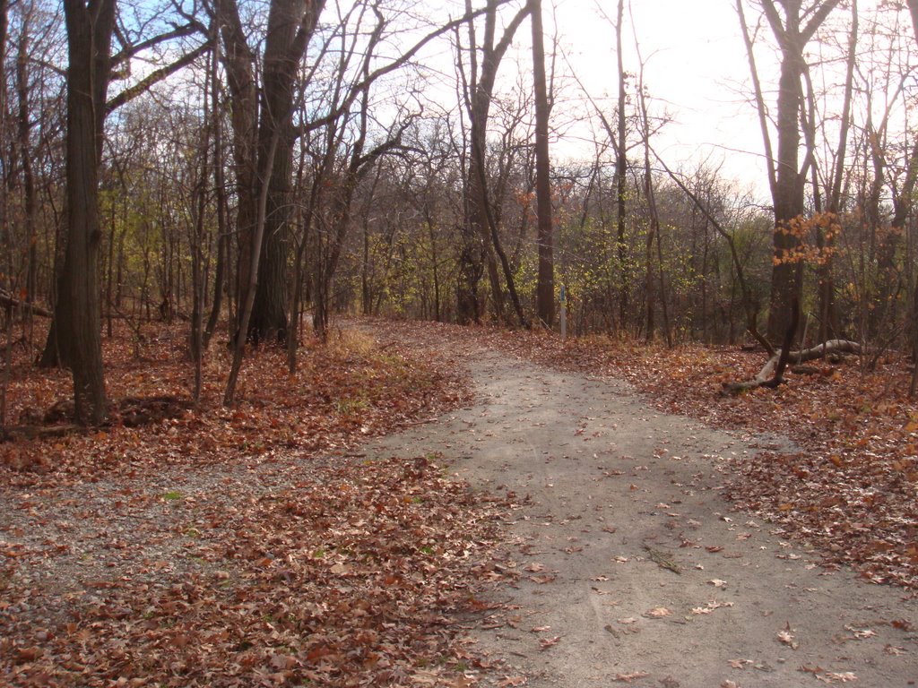 3 Different trails