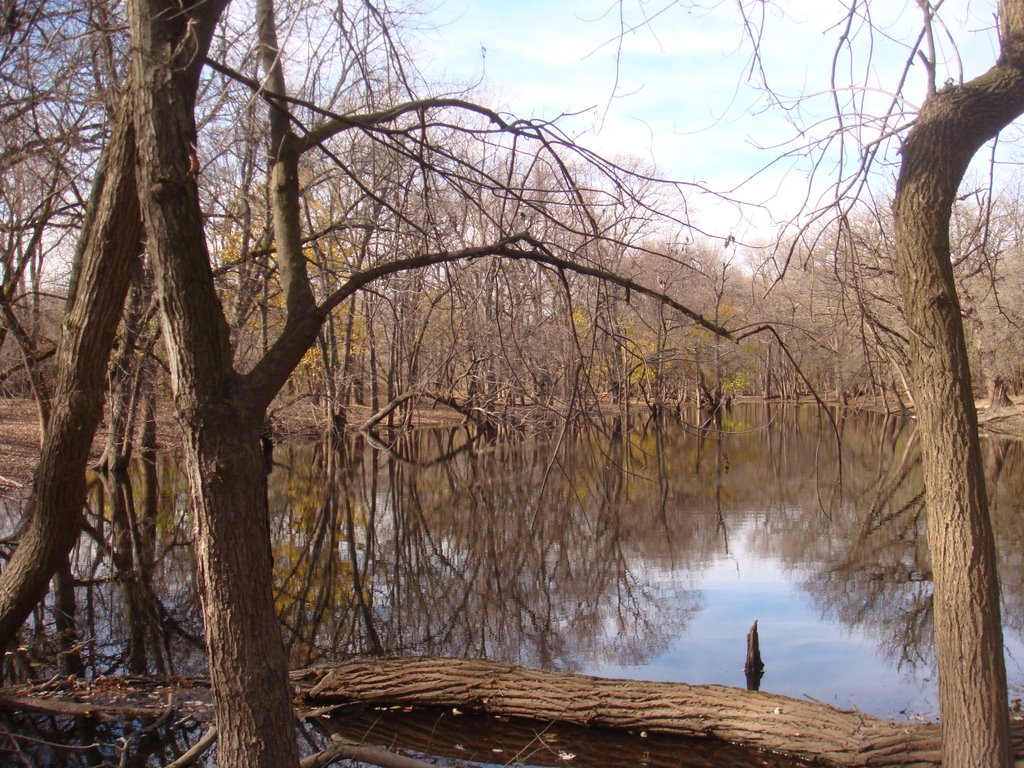 water body in the forest preserve