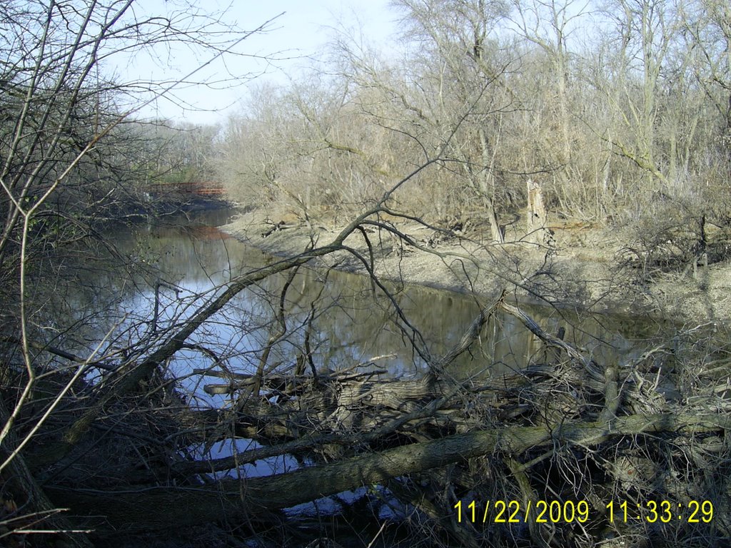 Des Plaines River(Forest Preserve)