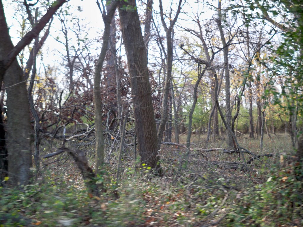 Indian Boundary Forest Preserve Golf