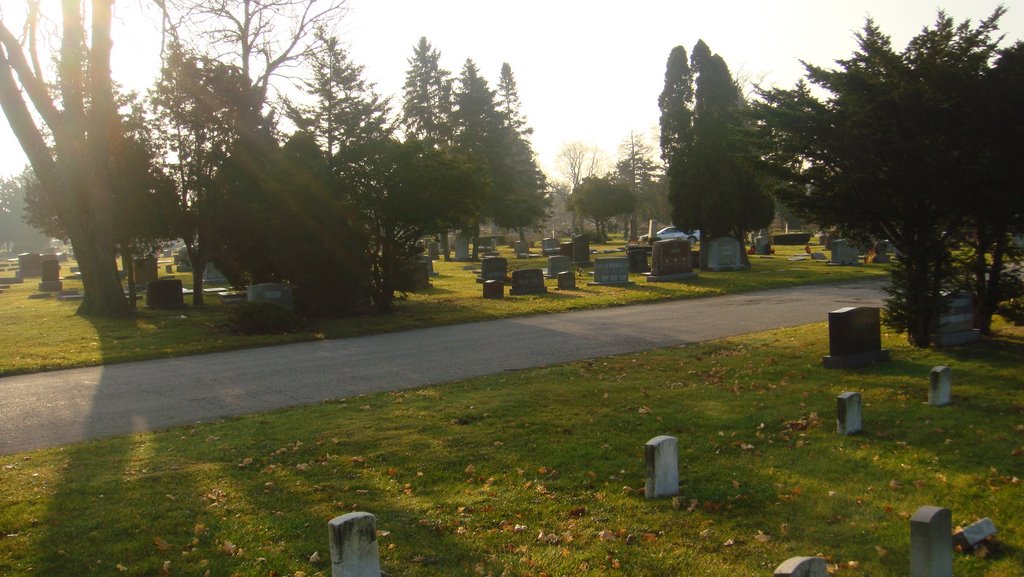 elmwood cemetery
