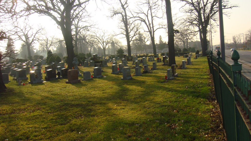 elmwood cemetery