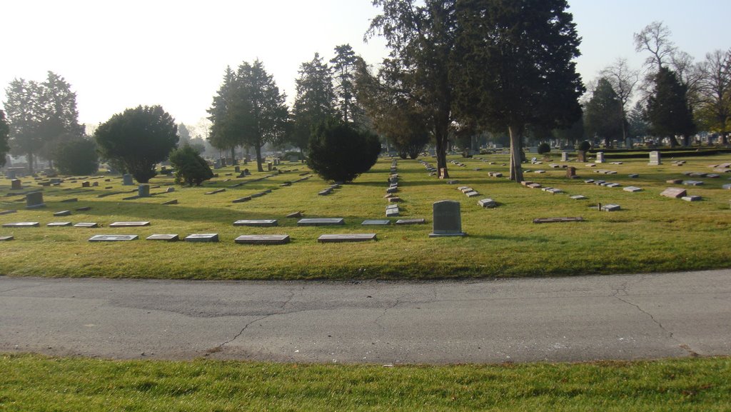 elmwood cemetery