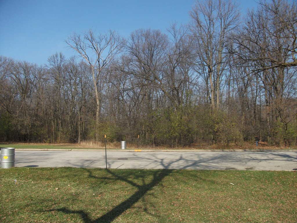 forest perserve
