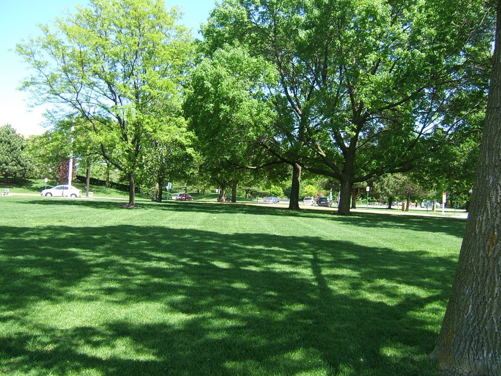 My neighborhood