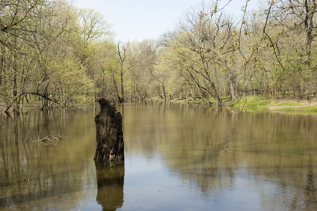 Pond-1