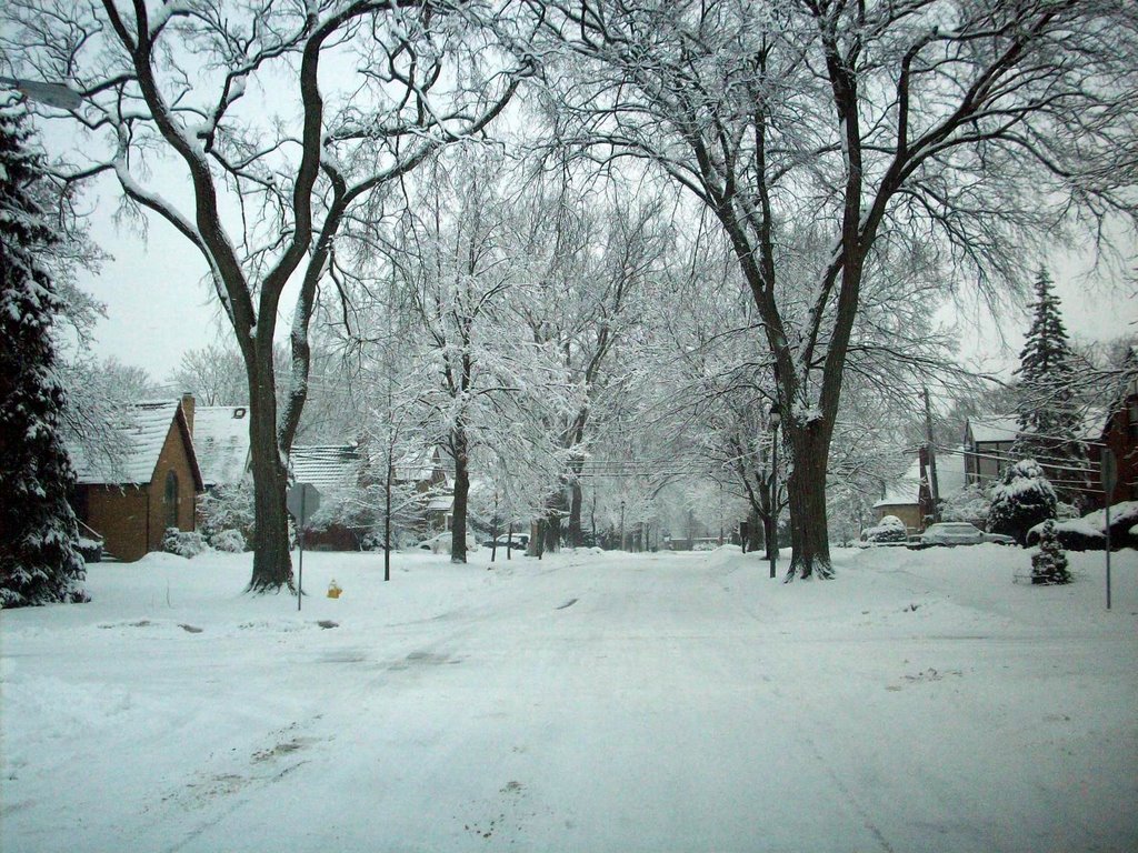 Long Winter - February 2008