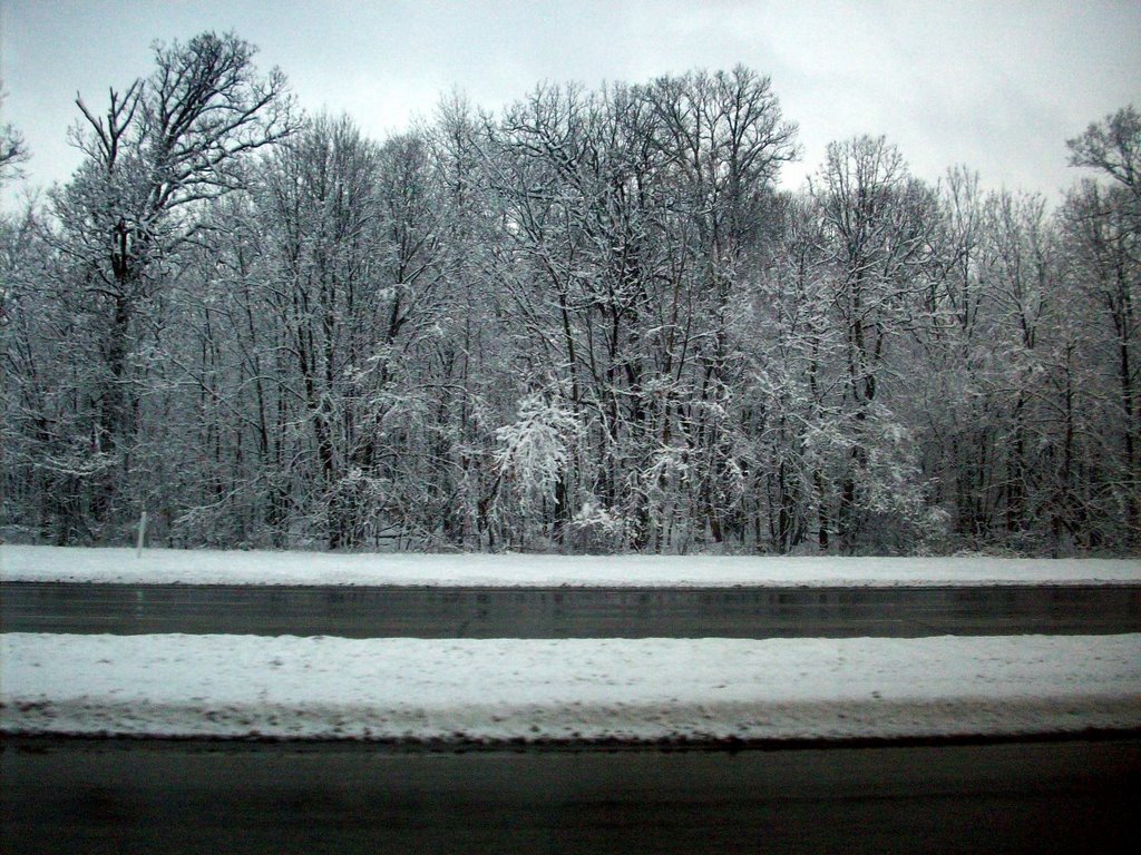 Long Winter - February 2008