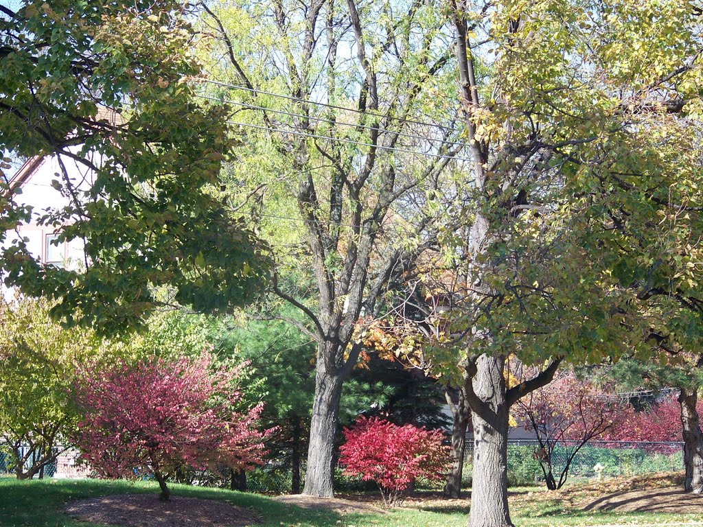 Elmhurst Memorial Healthcare Berteau Campus