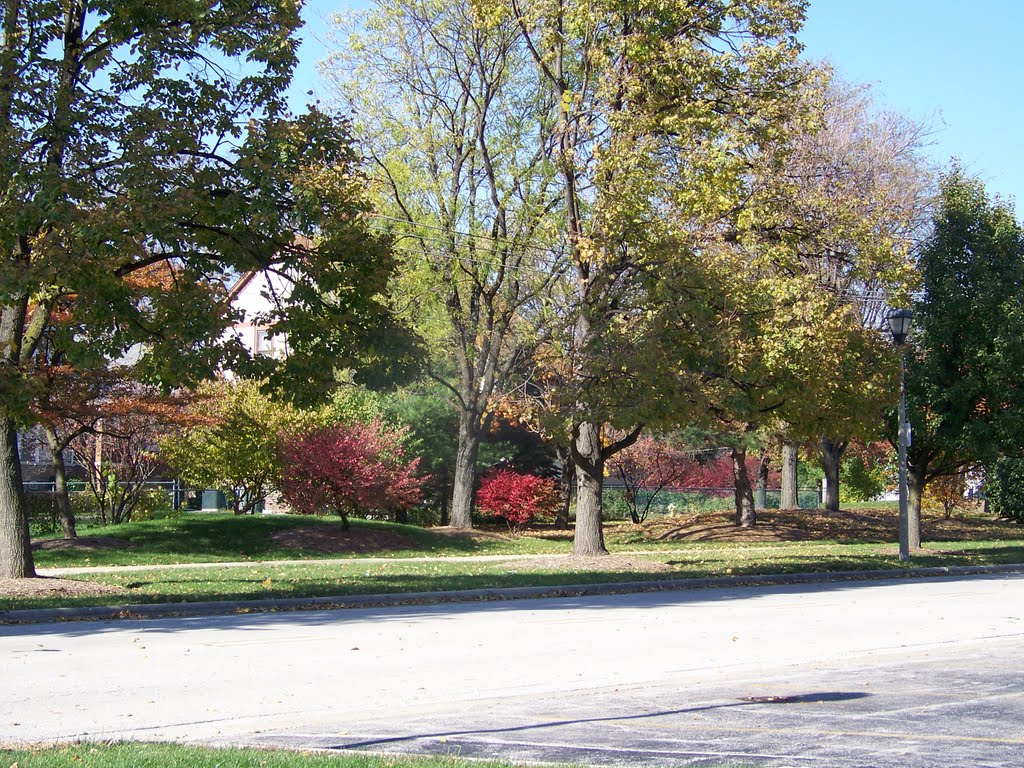 Elmhurst Memorial Healthcare Berteau Campus